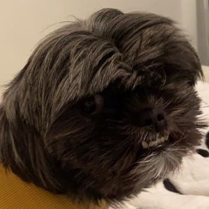 Meet your Posher, Emma